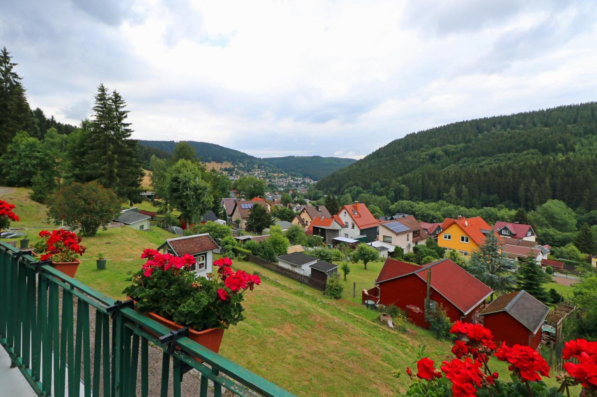 Pension Am Waldesrand Ilmenau Extérieur photo